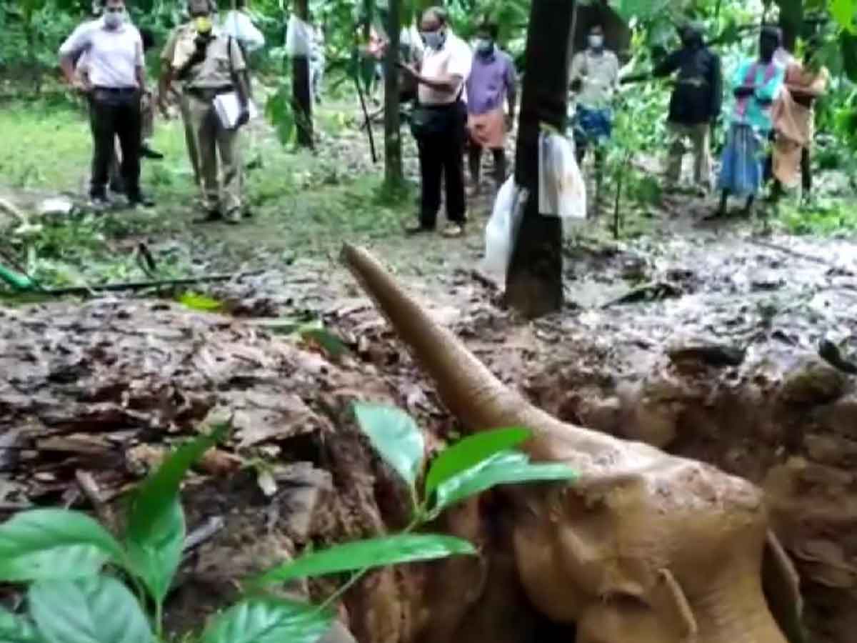 బావిలో ప‌డిన ఏనుగు.. ర‌క్షించిన అట‌వీ శాఖ అధికారులు