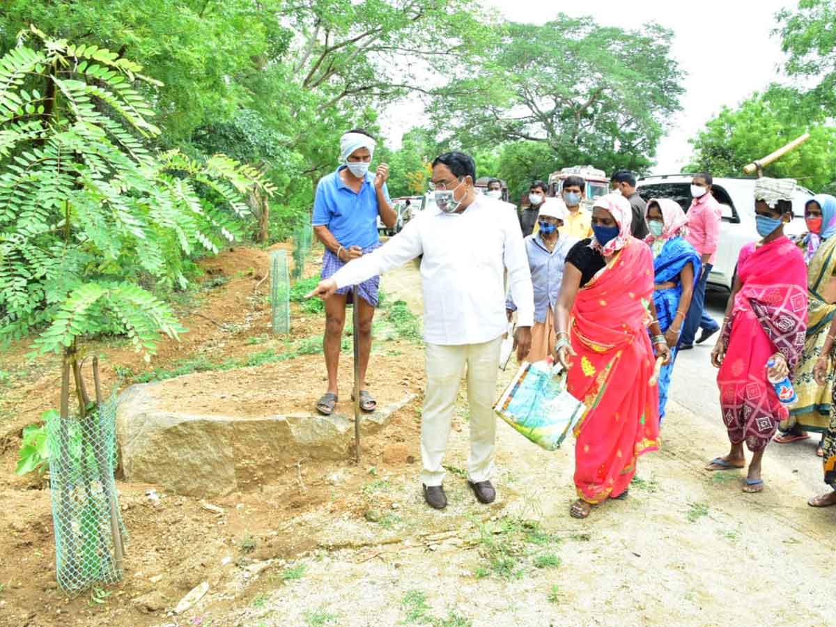 పల్లెప్రగతిలో పచ్చదనం పెంపొందించాలి