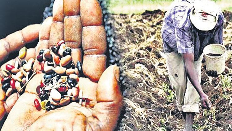 నకిలీ విత్తనాల విక్రయంపై ఉక్కుపాదమే