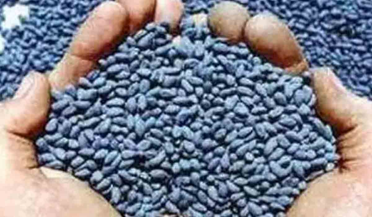 Fake seeds | రూ.30 లక్షల విలువైన నకిలీ విత్తనాల పట్టివేత