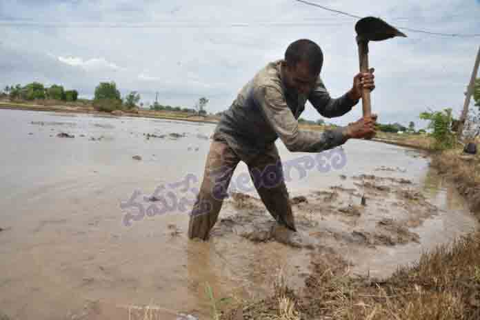 తెలంగాణ‌లో చురుగ్గా సాగు ప‌నులు