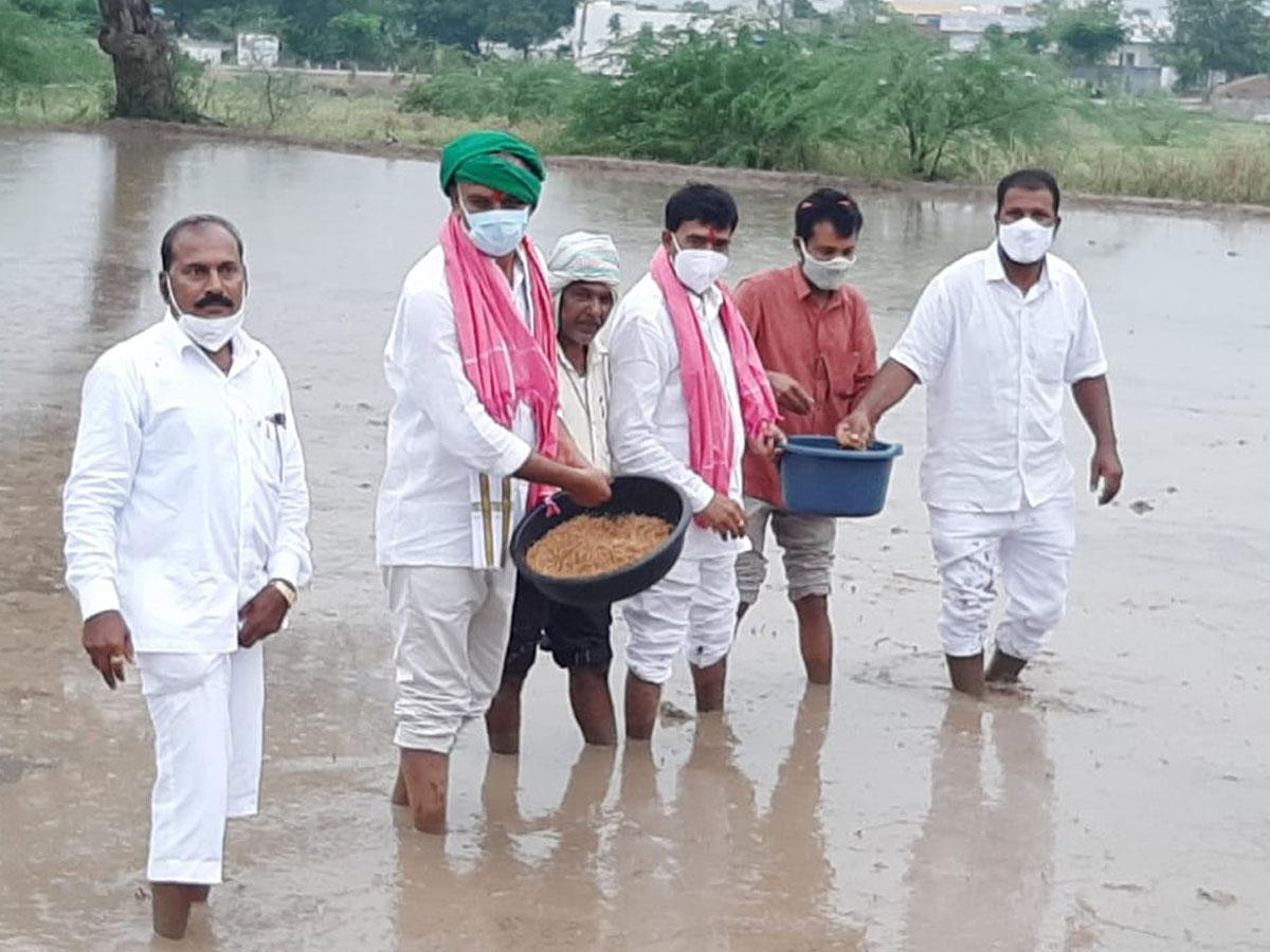 రైతు అవతారం ఎత్తి.. విత్తనాలు చల్లిన మంత్రి హరీశ్‌ రావు