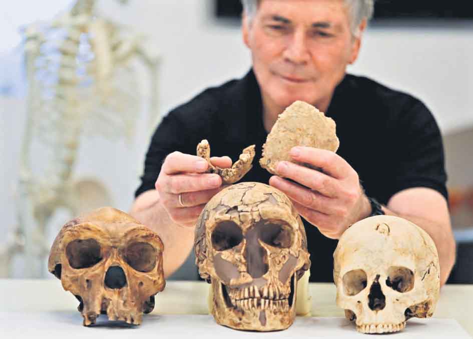 ఇజ్రాయెల్‌లో ఆదిమానవుల శిలాజాలు