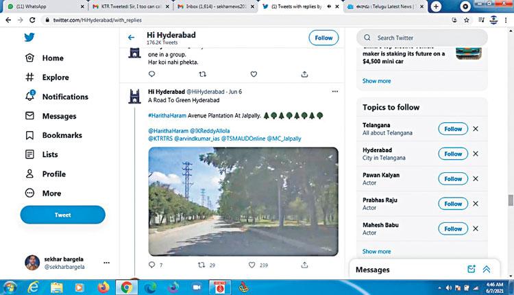 రోడ్డు పొడవునా.. పచ్చందాలు..