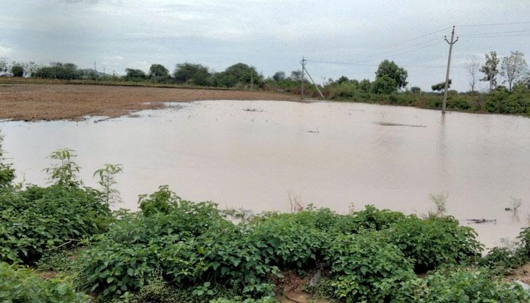 వర్షాలతో సాగు పనులకు సన్నద్ధం