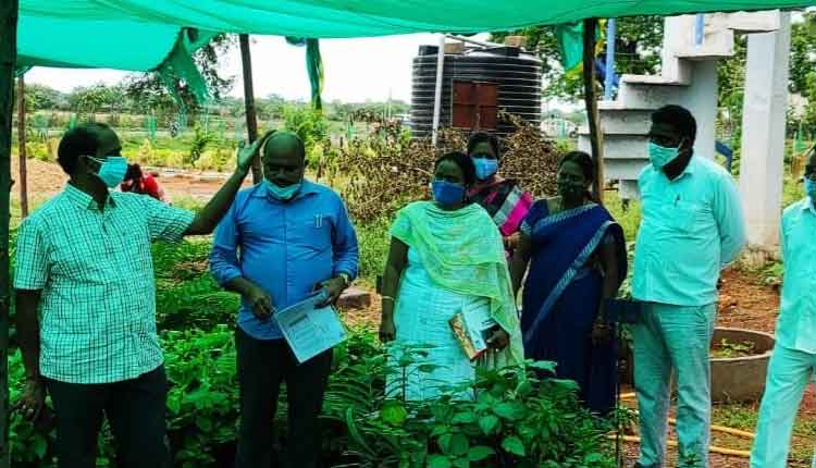 మొక్కలు నాటేందుకు సిద్ధం చేయాలి