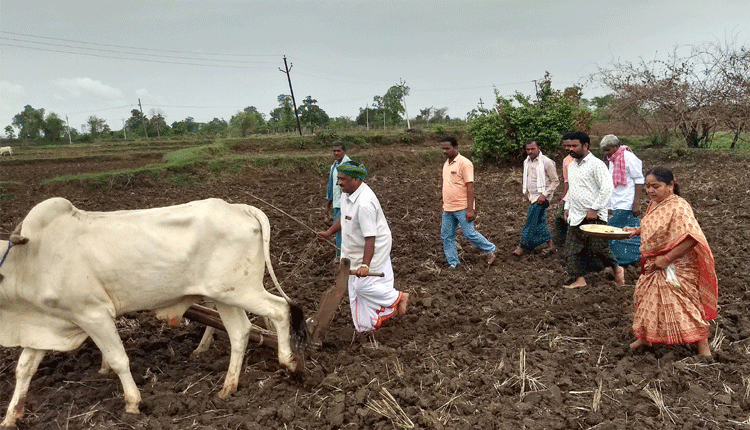 సాగు పనుల్లో రైతన్న బిజీబిజీ