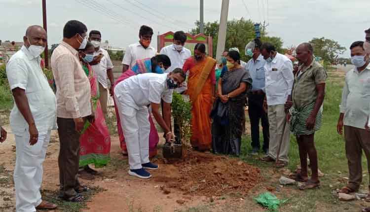 పచ్చదనం, పరిశుభ్రతకు ప్రాధాన్యం ఇవ్వాలి