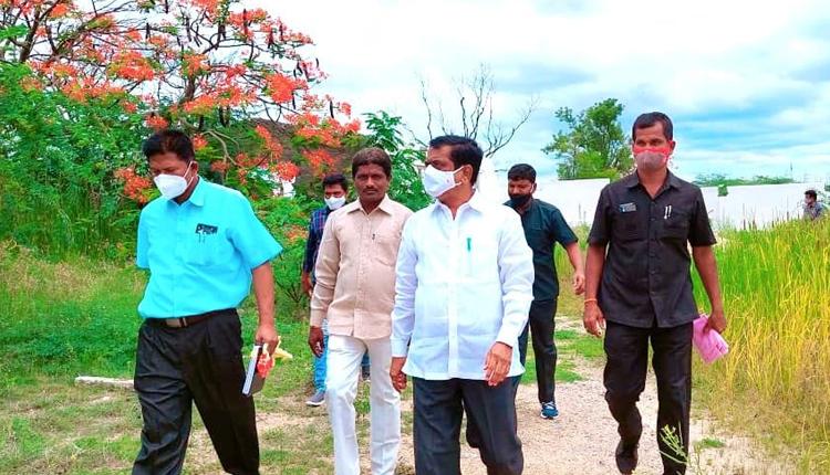 ఆయుర్వేద మొక్కలతో మేలు