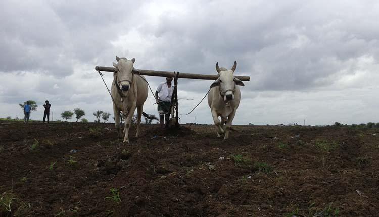 మృగశిర ఆరంభం..రుతుపవన సందేశం