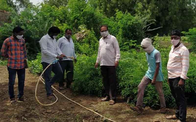 మొక్కలను సిద్ధంగా ఉంచాలి
