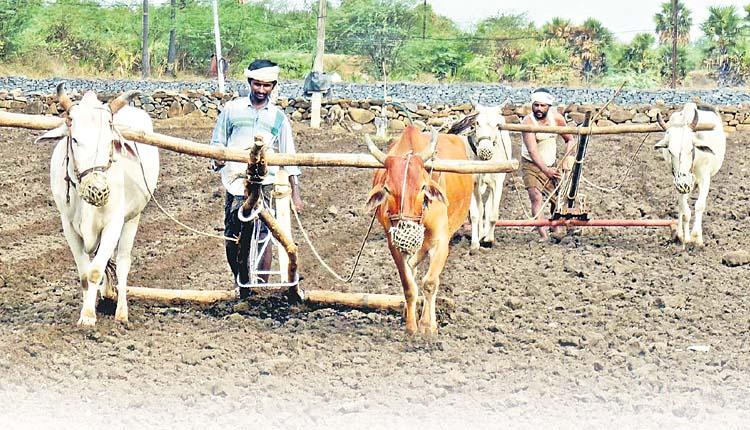 మీనోత్సవం..మిరుగు