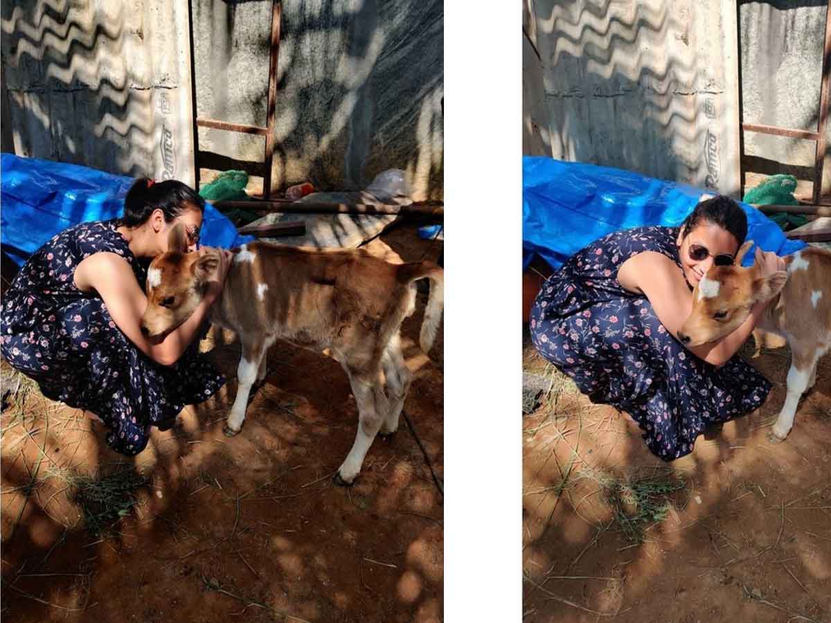 జంతు ప్రేమ‌ను చూపిస్తున్న కేజీఎఫ్ బ్యూటీ