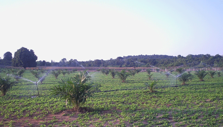 ప్రతి నీటీ బోట్టు పంటకు అందేట్టు