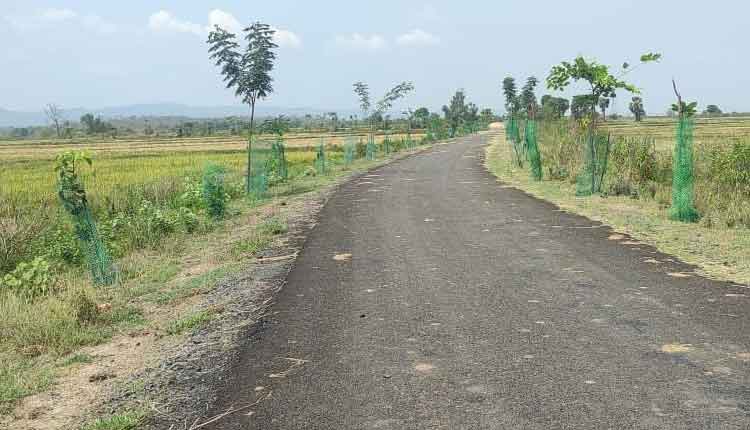 దమ్మక్కపేట.. అభివృద్ధి బాట