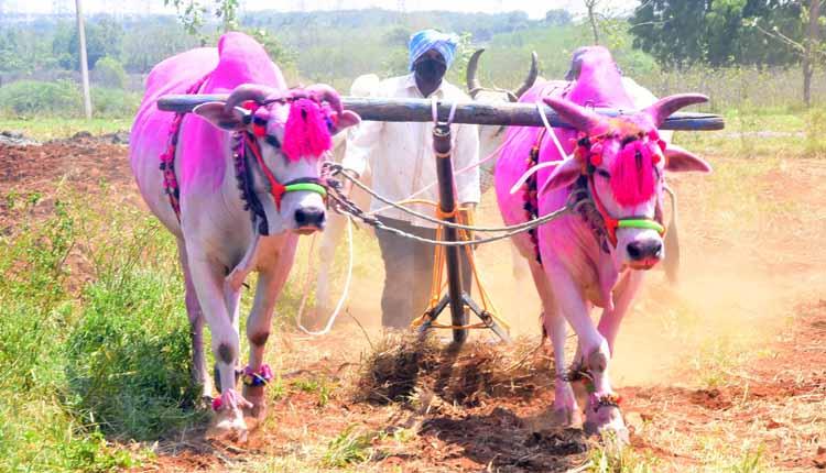 సాగుకు అంతా రెడీ