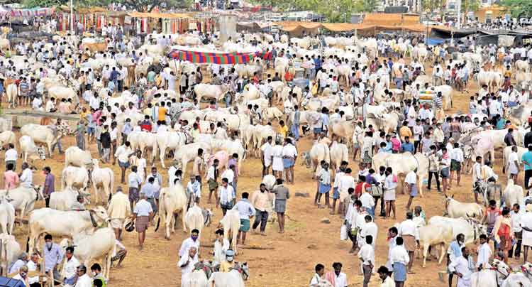 మాస్క్‌లపై మళ్లీ అదే నిర్లక్ష్యం