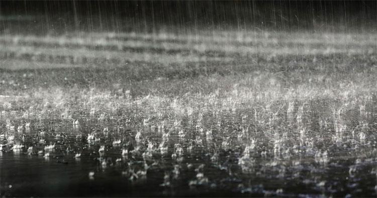 రాష్ట్రమంతా నైరుతి