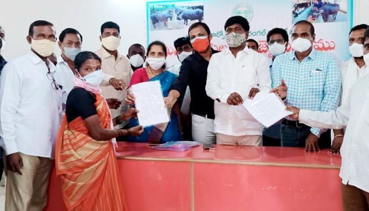 పాడి గేదెలను ఇతరులకు విక్రయించొద్దు