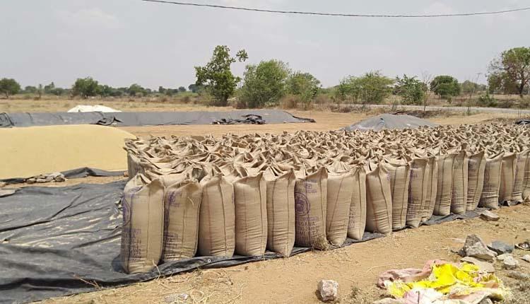 రికార్డు స్థాయిలో ధాన్యం కొనుగోళ్లు