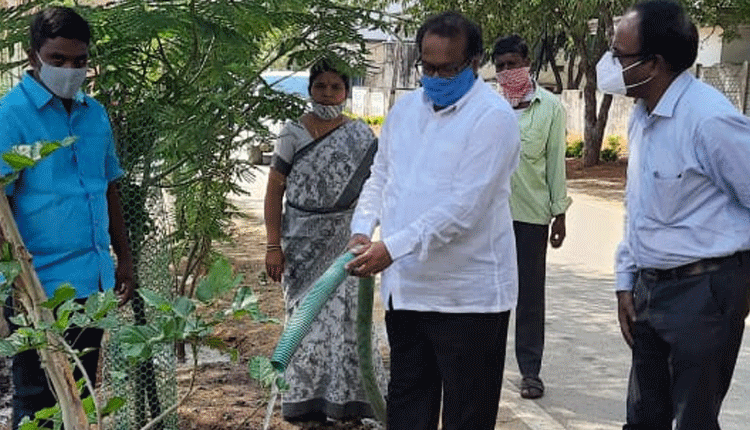 హరితహారం మొక్కలకు నీళ్లు పట్టిన కలెక్టర్‌