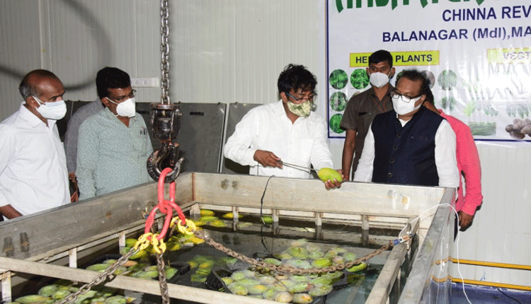 పండ్లు, కూరగాయల ఎగుమతులను ప్రోత్సహిస్తాం