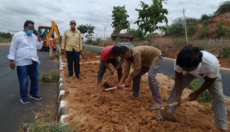 హరితహారంపై దృష్టి సారించాలి