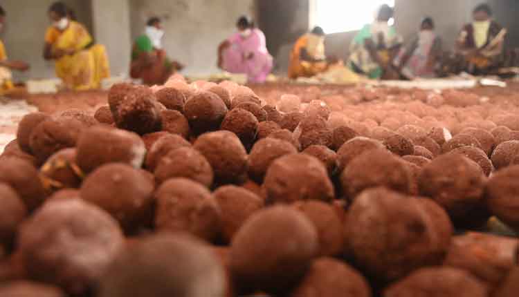 2 కోట్ల  విత్తన బంతుల తయారీ