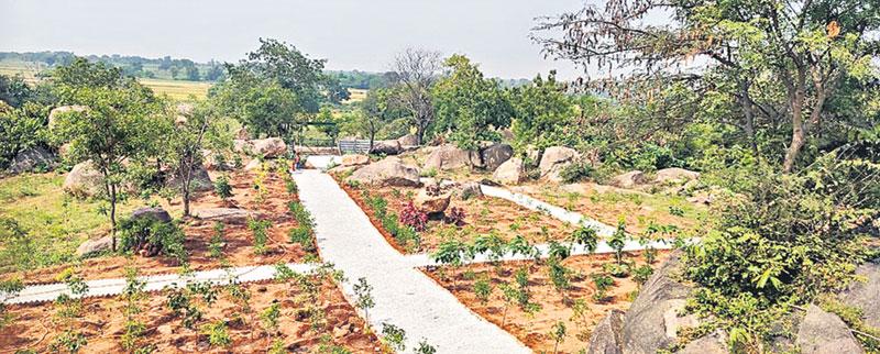 కోనాయిపల్లి(పీబీ)కి కొత్తందాలు