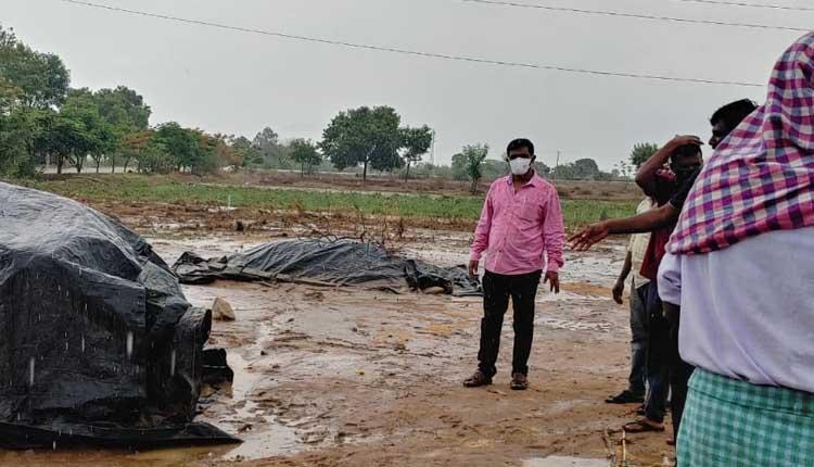 ఉమ్మడి మెదక్‌ జిల్లాలో కురిసిన వర్షం