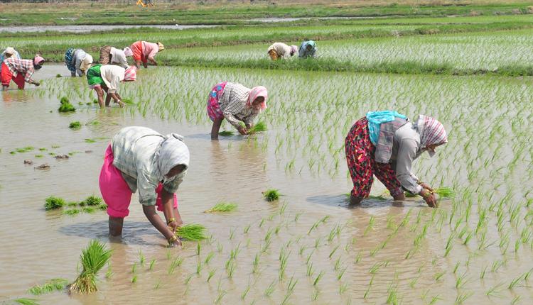 సాగ వోయి హొలికుడా..