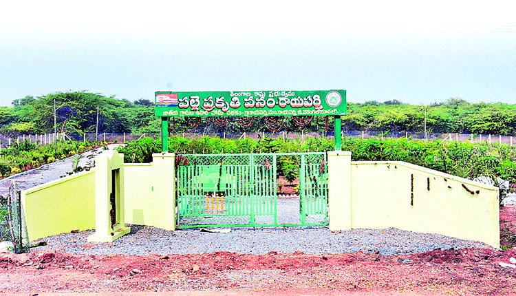 మండలానికో మెగా పార్కు