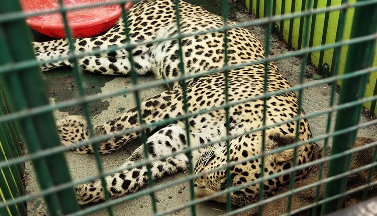 ఎరక్క వచ్చి..