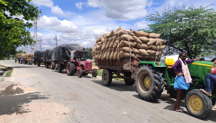 జోరుగా ధాన్యం కొనుగోళ్లు