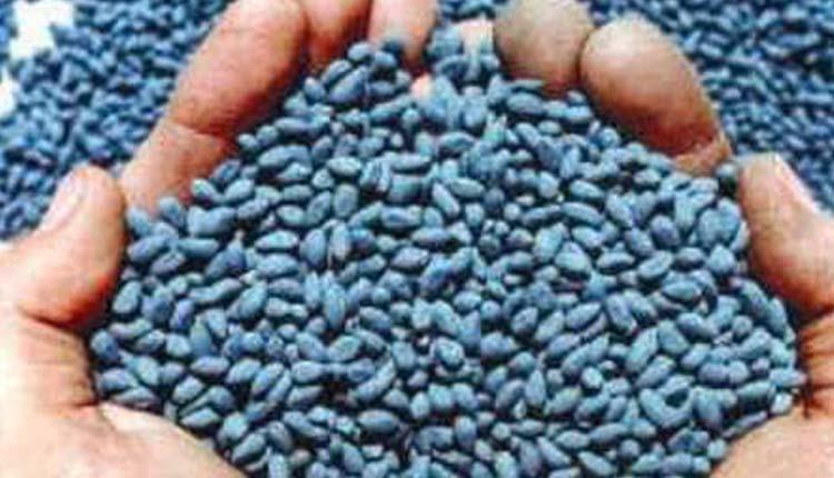 నకిలీపై ఉక్కుపాదం