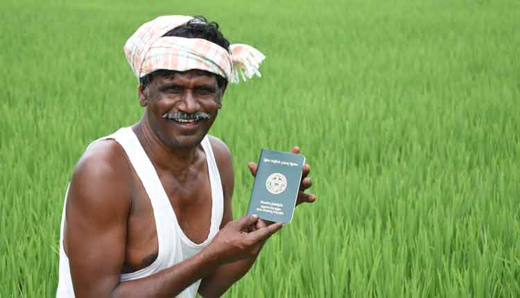 వానకాలం బంధువొచ్చింది..