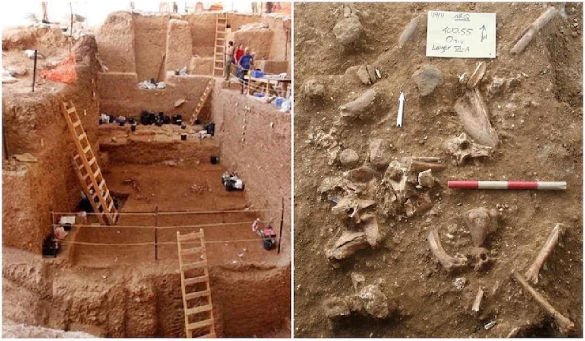 కొత్త ట్విస్ట్‌.. ఇజ్రాయెల్‌లో బ‌య‌ట‌ప‌డ్డ మిస్ట‌రీ మాన‌వ జాతి