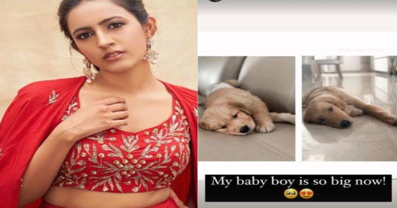 నా కొడుకు పెద్ద‌వాడ‌వుతున్నాడు.. నిహారిక పోస్ట్ వైర‌ల్