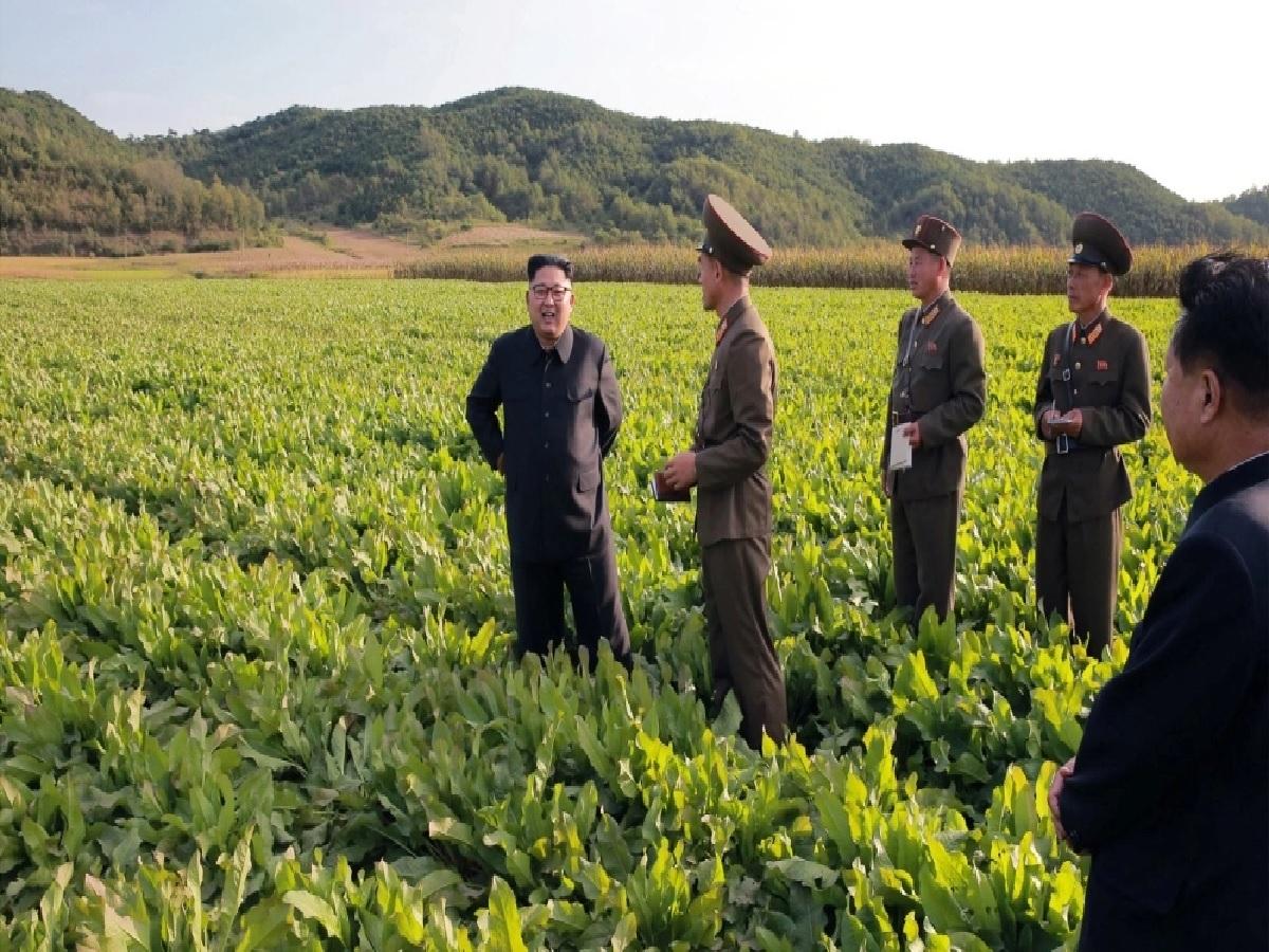 కాఫీ రూ.7 వేలు, అర‌టిపండ్లు రూ.3336.. ముదురుతున్న ఆహార సంక్షోభం