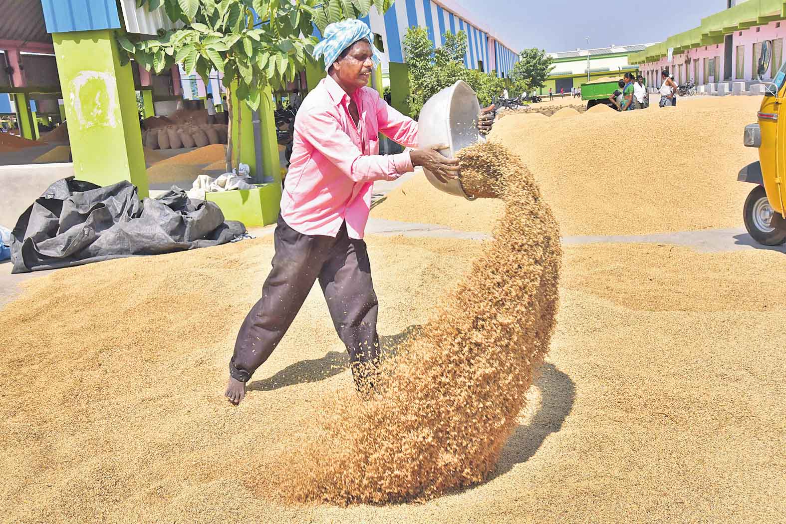 వడ్ల రాసులకు వందనం