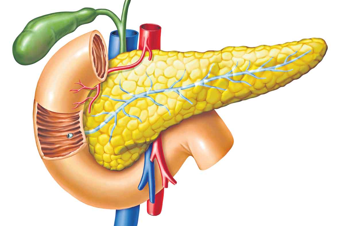 పాంక్రియాస్‌ సమస్యలకు చికిత్స