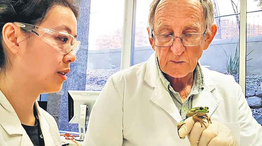 ఆయన కప్పలతో మాట్లాడుతారు!