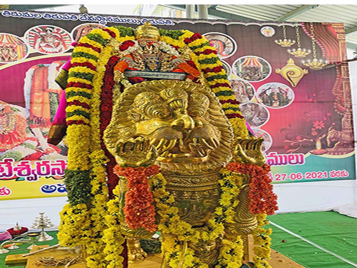 సింహ వాహనంపై శ్రీ ప్రసన్న వేంకటేశ్వరస్వామి…