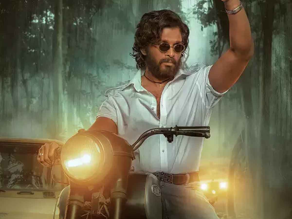 పుష్ప 1 పై భారీ అంచ‌నాలు పెంచిన ఉప్పెన డైరెక్ట‌ర్