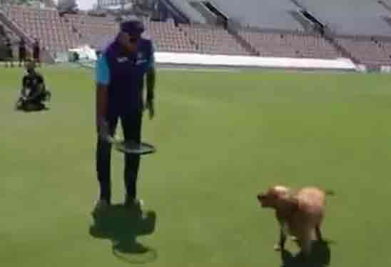 శునకంతో హెడ్‌కోచ్‌ రవిశాస్త్రి క్యాచ్​ల ప్రాక్టీస్.. వీడియో వైరల్