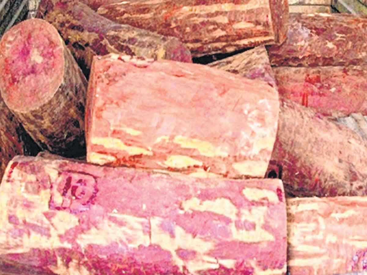 ఎర్ర చందనం స్మగ్లర్లు అరెస్టు..