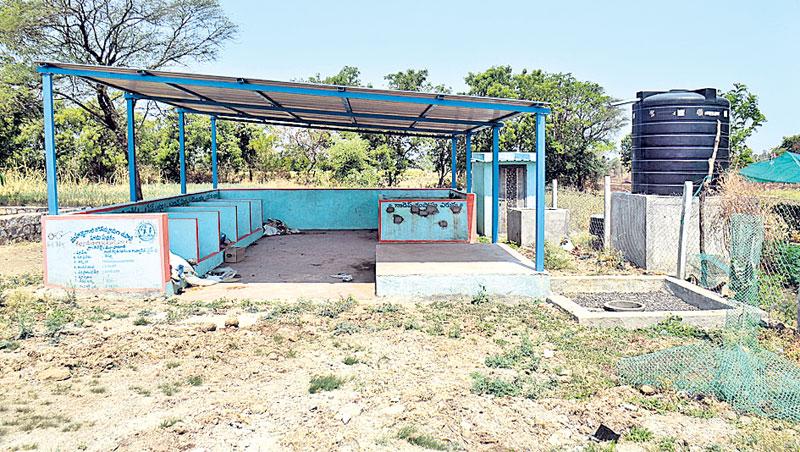 పల్లె ప్రగతితో మారిన గ్రామం రూపురేఖలు