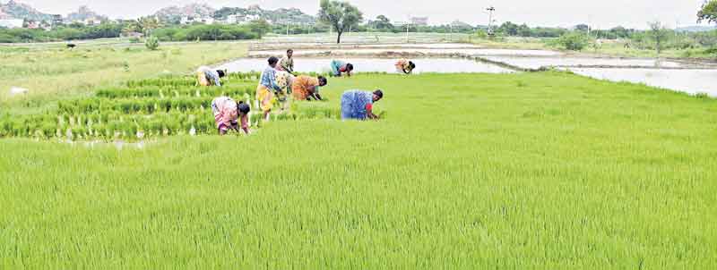 ‘రైతుబంధు’తో రంది తీరే..!