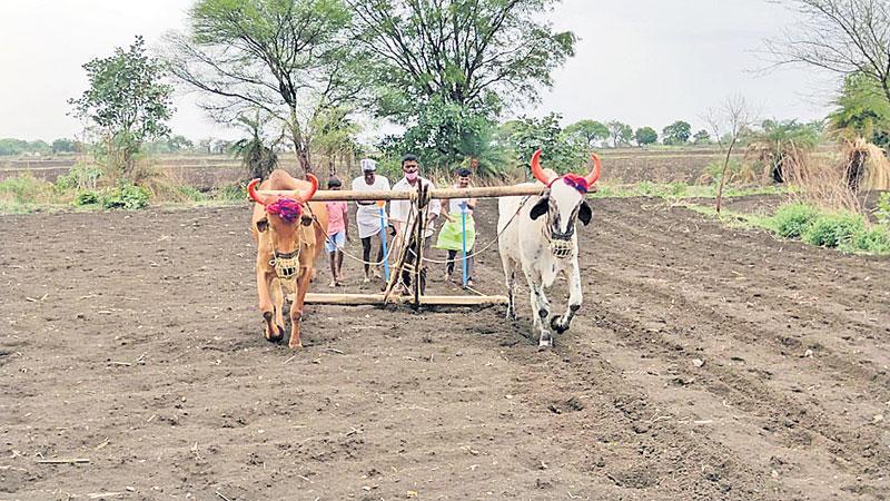 నేడే మృగశిర కార్తె