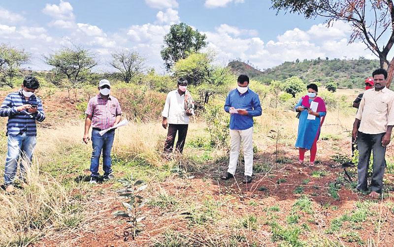 ఫుడ్‌ పార్కు దిశగా అడుగులు